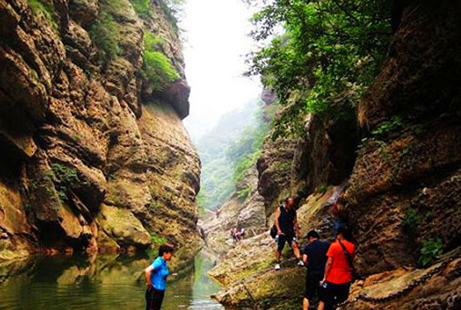 鄭州中巴車出租 鄭州中巴車出租